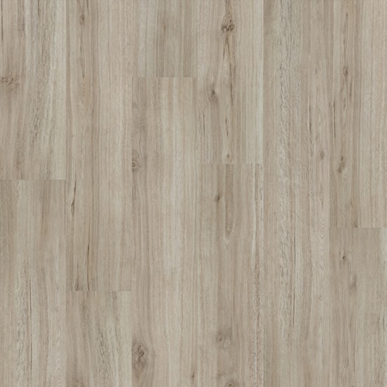 Marilo, Pennsylvania oak, 18205-1