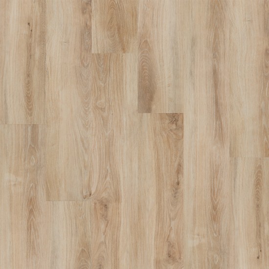 Marilo, Gallic oak, 18209-1