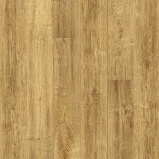 Thermofix PRO Art, Honey Chestnut, 18008