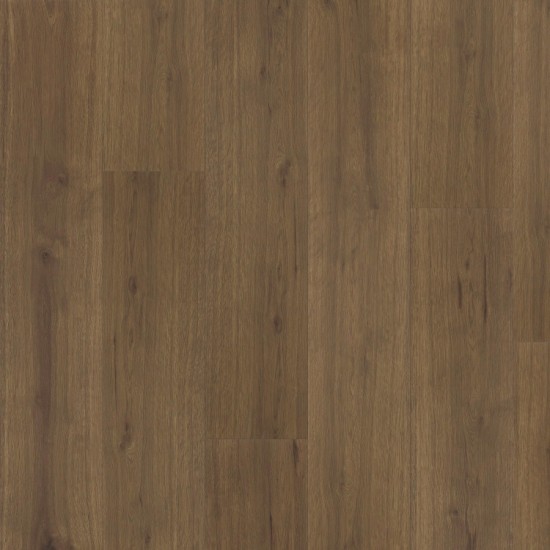 Thermofix PRO Wood, Cortado Oak, 14166-1