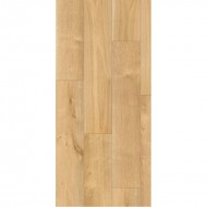 Vinyl  Rocko R066 Sculpta, HS CLASS 34