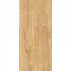 Vinyl  Rocko R066 Sculpta, HS CLASS 34