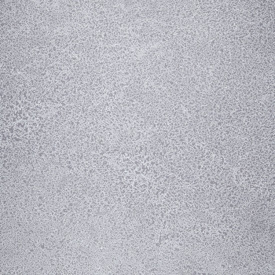 Novoflor-Extra-SPARKLE   2440-58