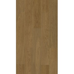 Vinyl Rocko R171 Wild Agar, FN CLASS 34