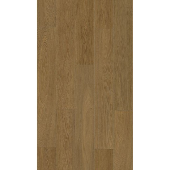 Vinyl Rocko R171 Wild Agar, FN CLASS 34